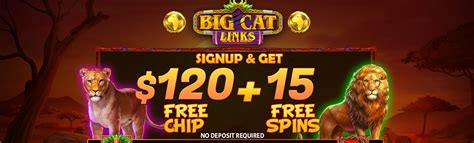 nodepositking|no deposit codes 2023.